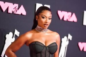 Thee stallion